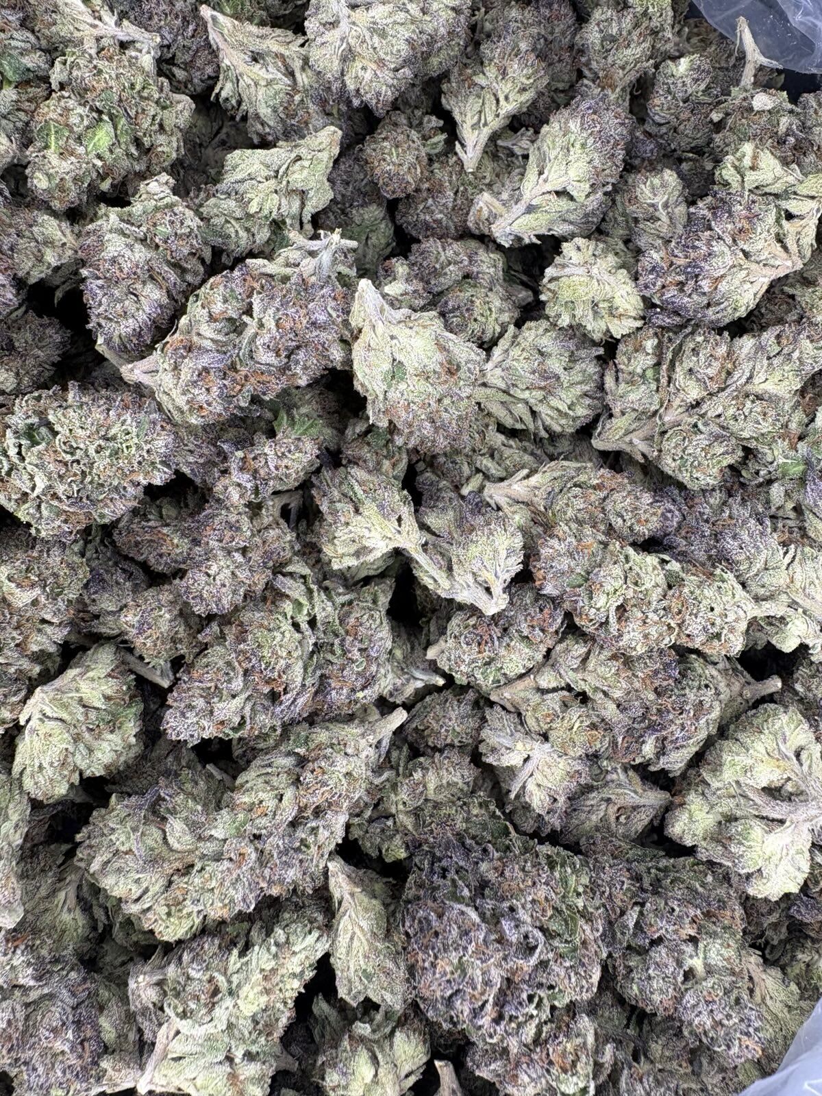 Biscotti Cream Indoor Thca Flower Bulk Biscotti Cream Indoor Thca Flower