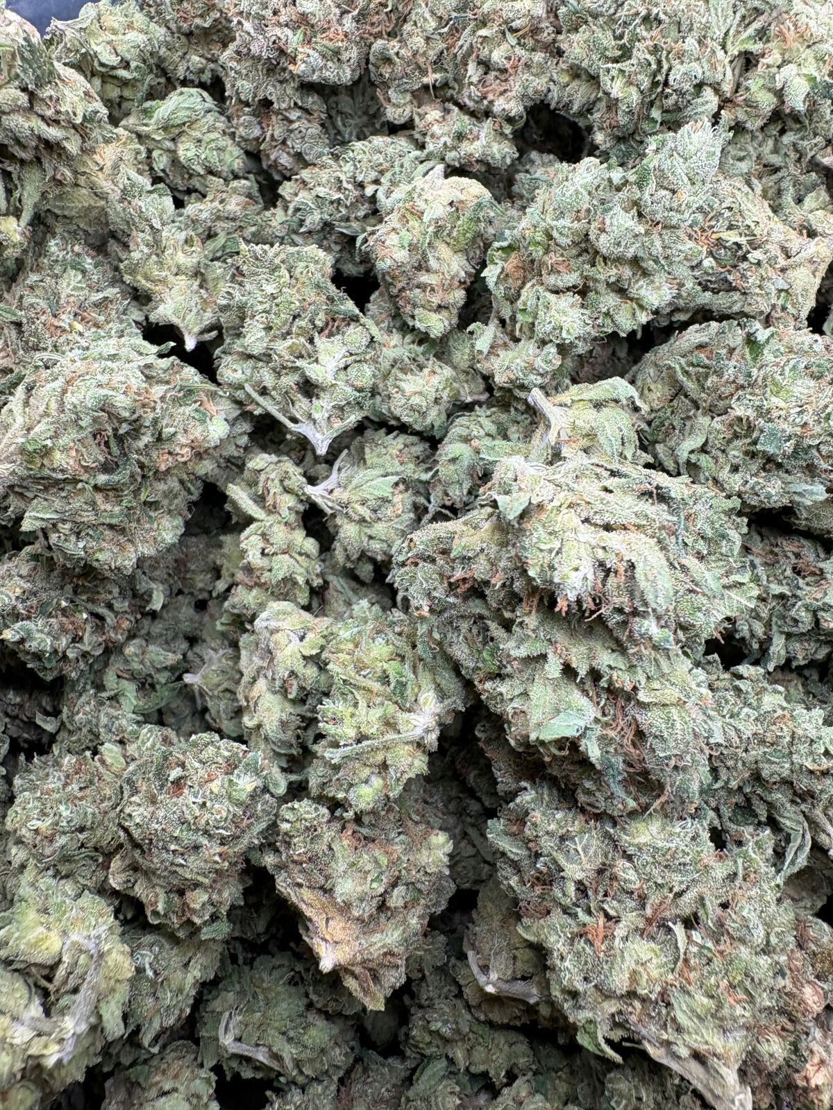 Durban Poison Indoor Thca Flower Bulk Durban Posion Indoor Thca Flower
