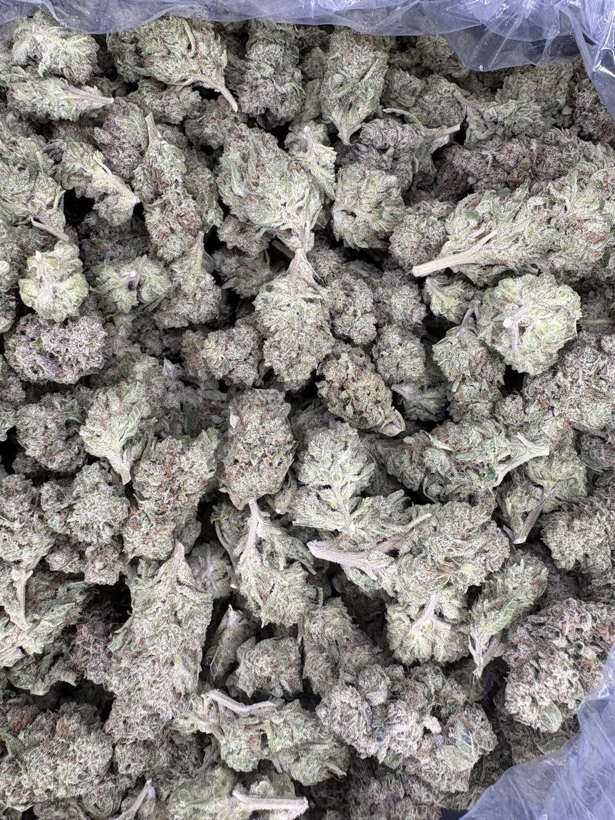 Pineapple Thai Light Dep Thca Flower Bulk Pineapple Thai Light Dep Thca Flower