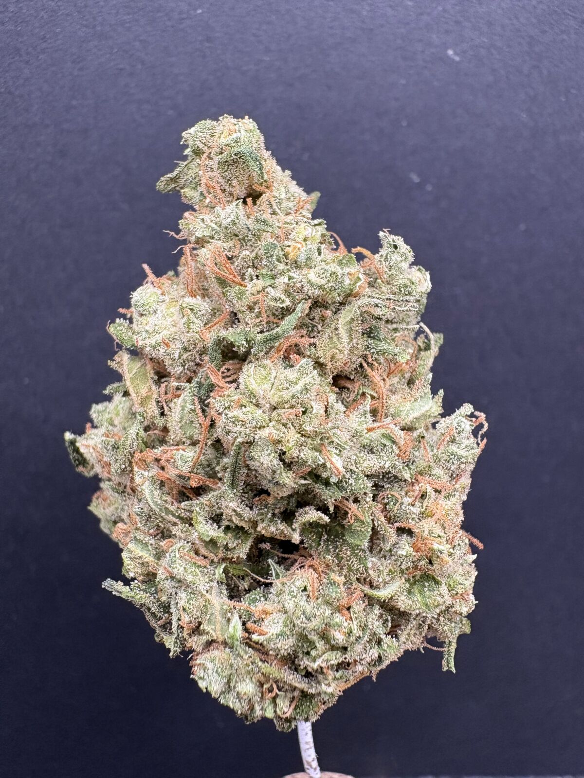 Durban Poison Indoor Thca Flower Durban Posion Indoor Thca Flower