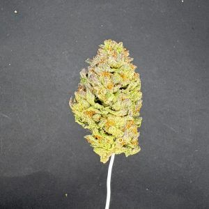 Gelato 33 Light Assist THCA Flower