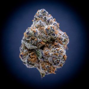 Glitter Bomb Indoor THCA Flower