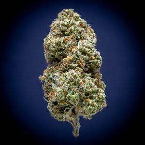 London Pound Cake Light Assist THCA Flower