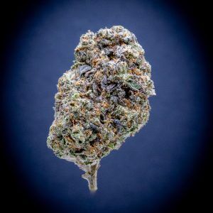 Triple Chocolate Chip Indoor THCA Flower