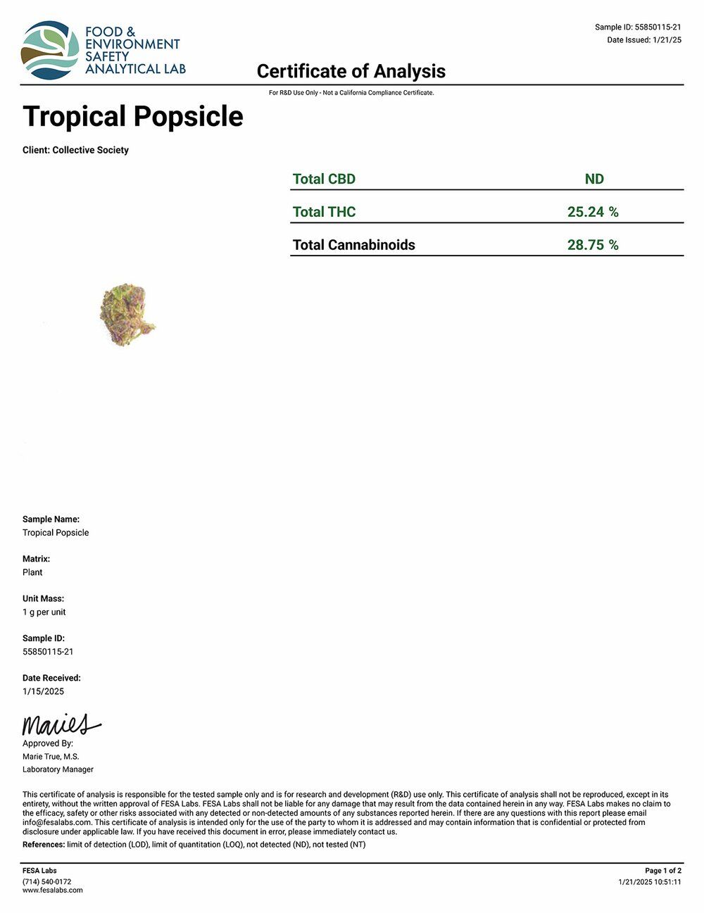 DoughLicious Tropical Popsicle Exotic THCA Flower COA 1-21-25