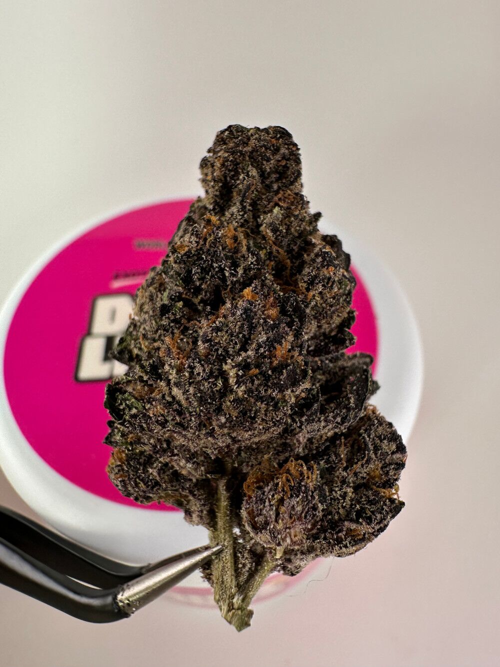 Doughlicious Watermelon 'N Cherries Exotic Thca Flower - Sativa Doughlicious Watermelon 'N Cherries Exotic Thca Flower - Sativa