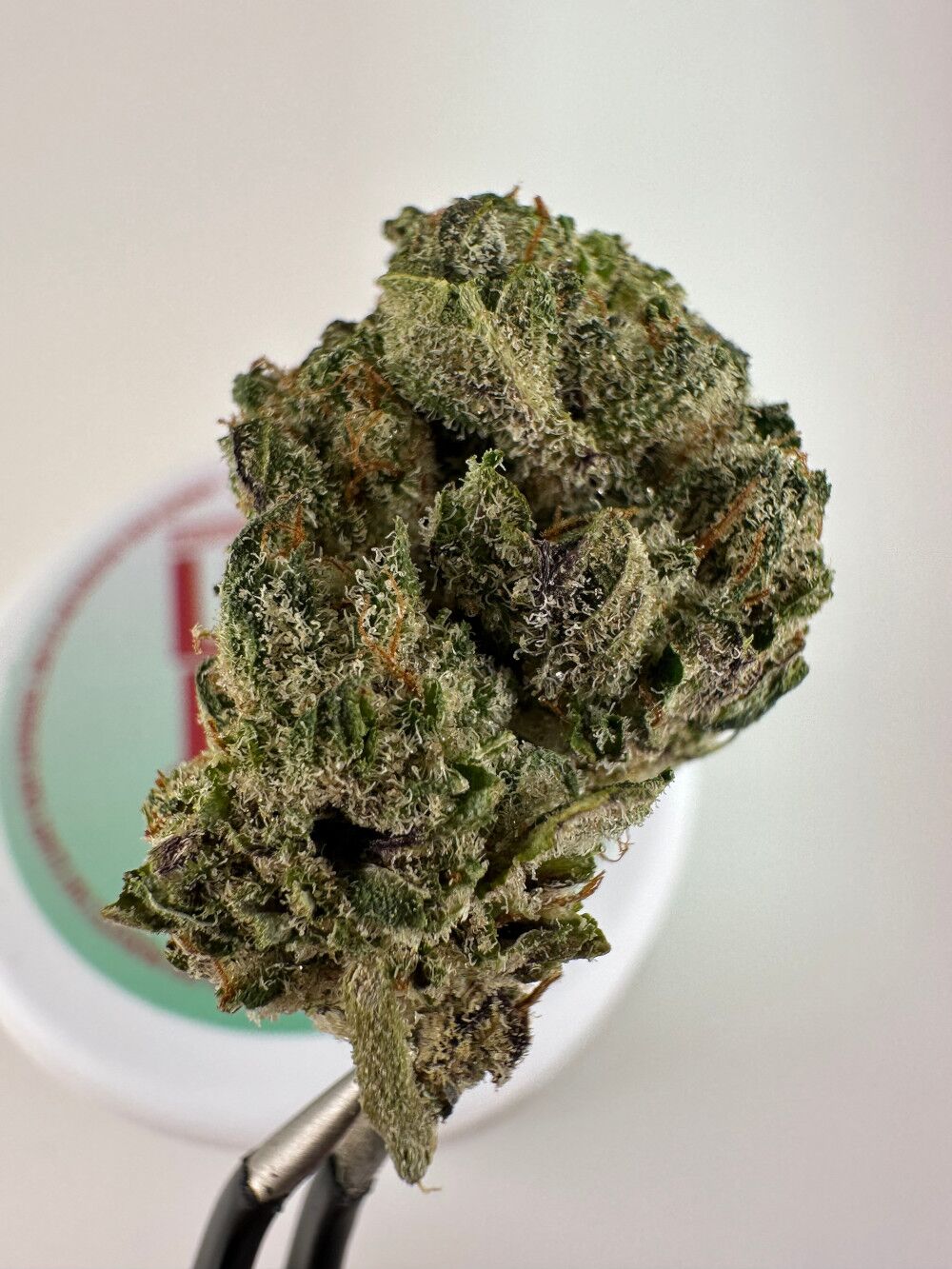 Lost Jane Strawberry Taffy Exotic Thca Flower - Sativa Lost Jane Strawberry Taffy Exotic Thca Flower - 4G - Sativa