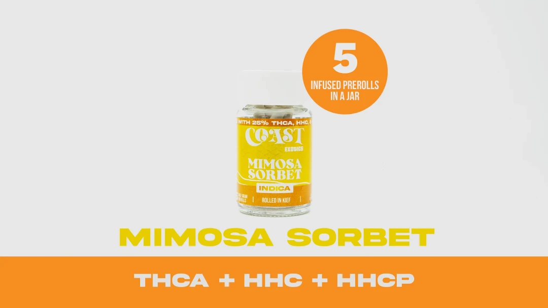 Coast Smokes Thca-Infused 5Ct 0.5G Prerolls Coast Smokes Thca-Infused 5Ct 0.5G Prerolls - Mimosa Sorbet