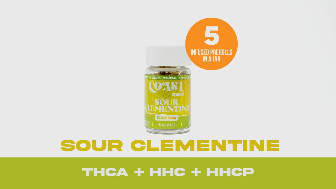 Coast Smokes Thca-Infused 5Ct 0.5G Prerolls Coast Smokes Thca-Infused 5Ct 0.5G Prerolls - Sour Clementine