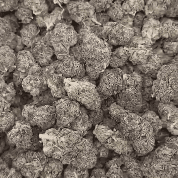Jet Fuel Runts Exotic Thca Flower Jet Fuel Runts Exotic Thca Flower