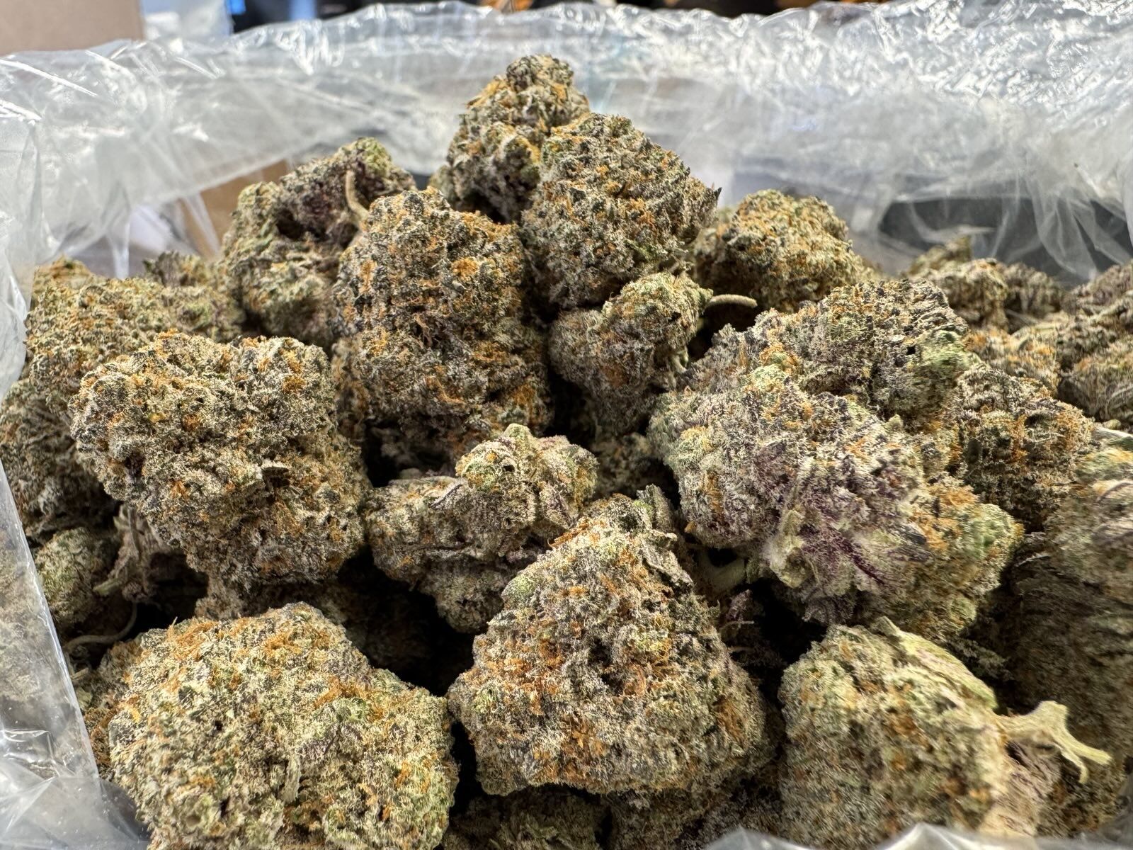 Mochi Indoor Thca Flower Mochi Indoor Thca Flower