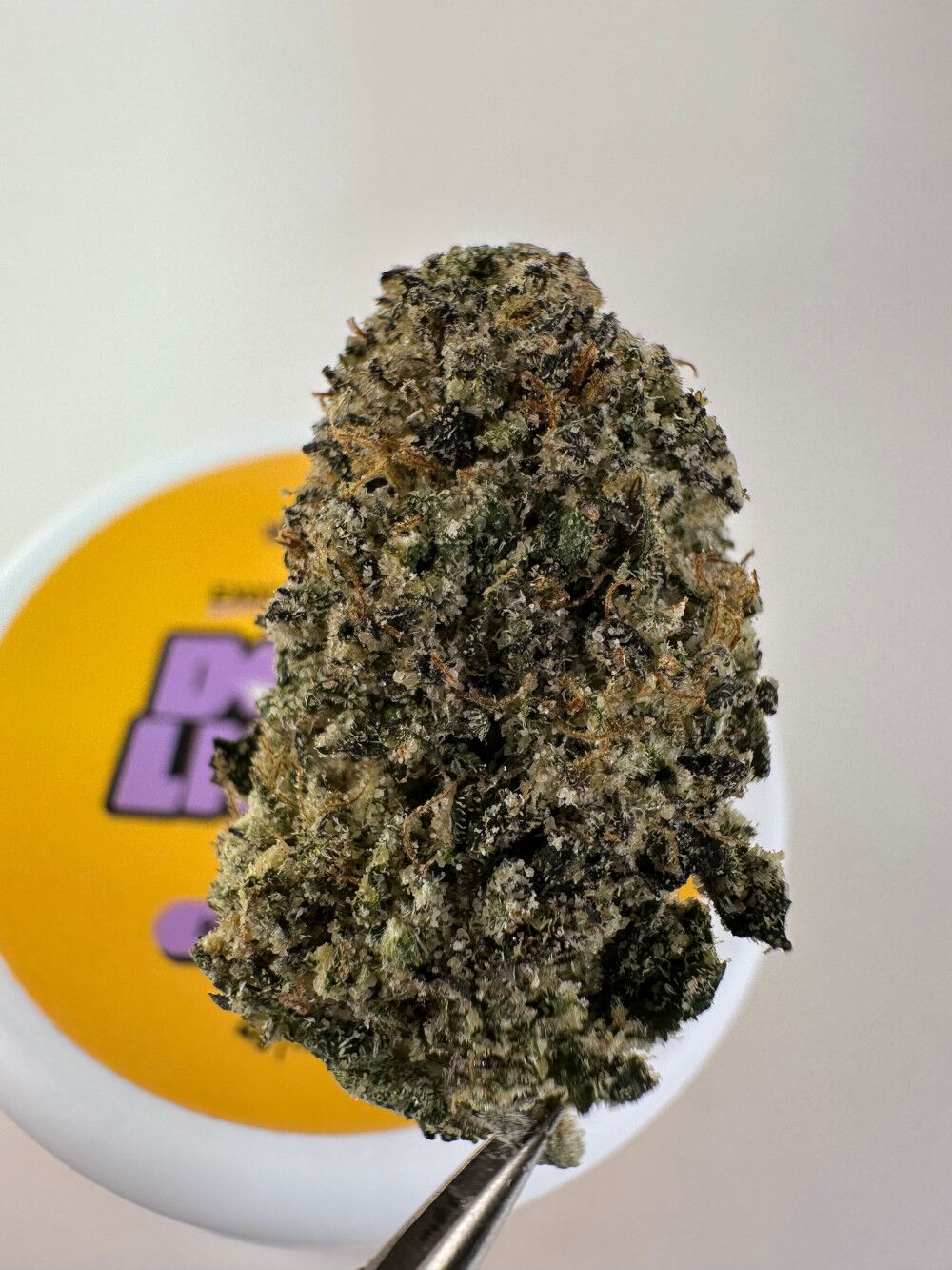 Doughlicious Hawaiian Runtz Exotic Thca Flower - Sativa Doughlicious Hawaiian Runtz Exotic Thca Flower - Sativa
