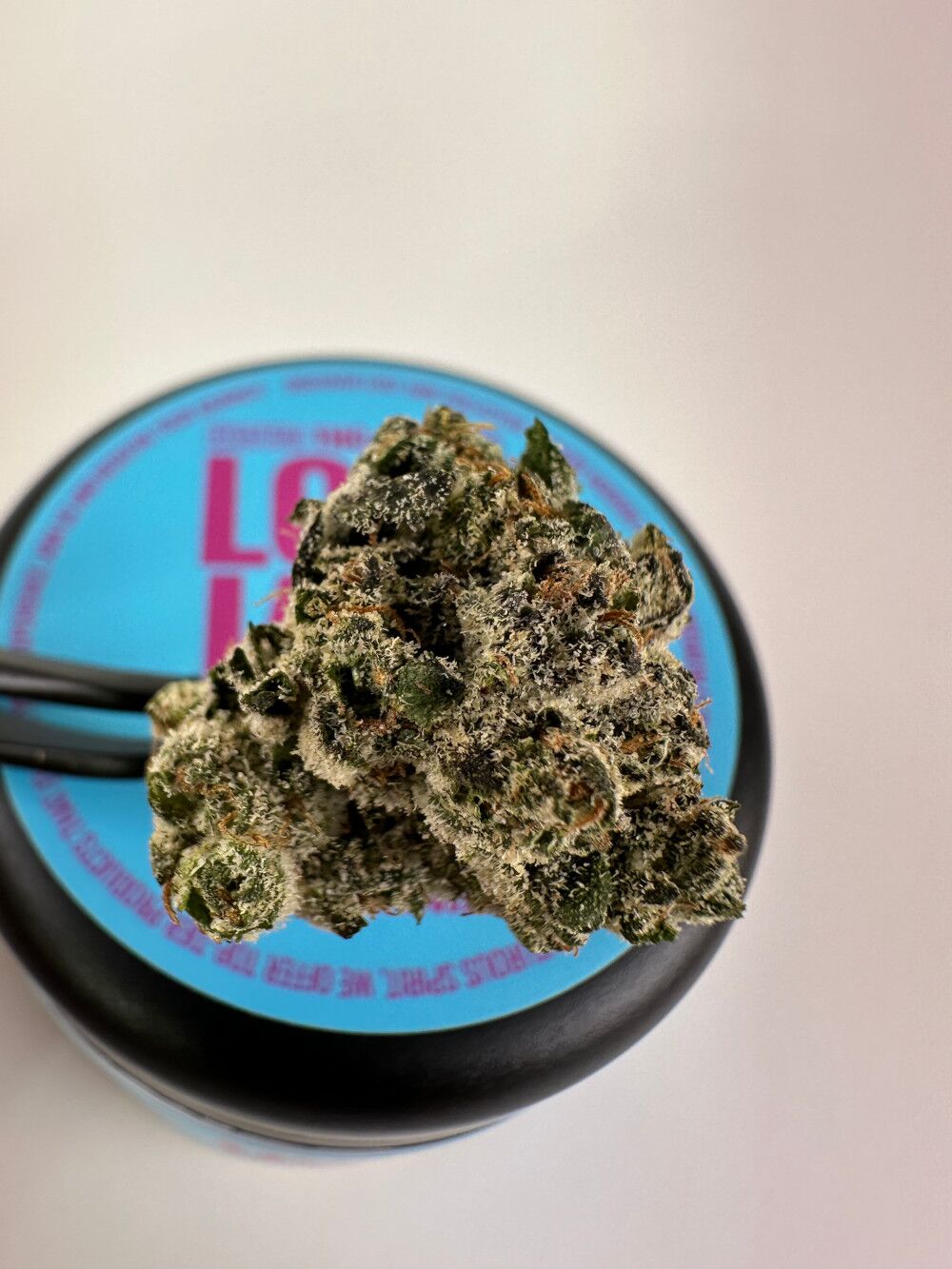 Lost Jane Cotton Candy Kush Exotic Thca Flower - Hybrid Lost Jane Cotton Candy Kush Exotic Thca Flower - 4G - Hybrid