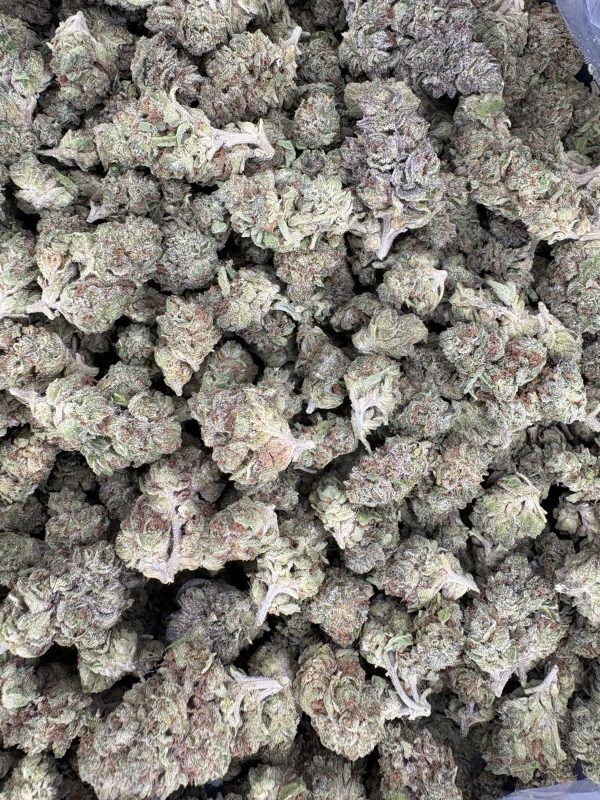 Bulk Illuminati Light Assist Thca Flower