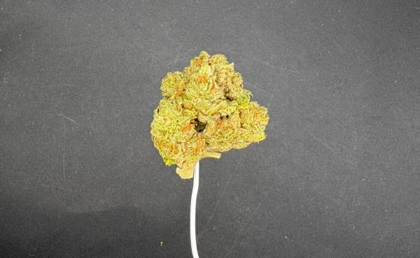 Illuminati Light Assist Thca Flower