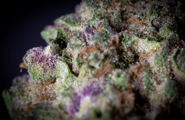 Super Boof Indoor Thca Flower