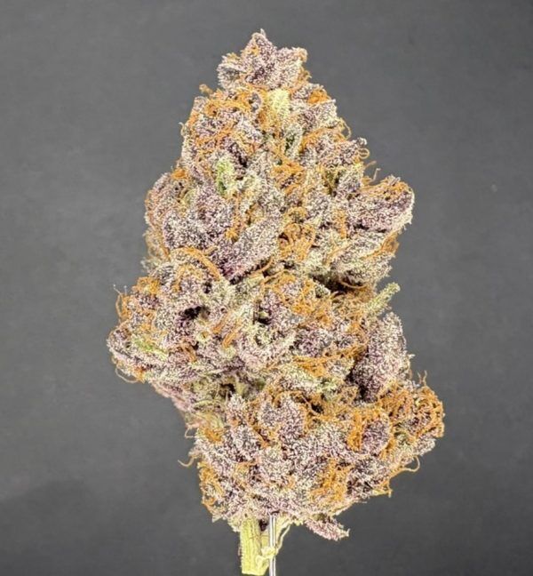 Trop Cherry Indoor Thca Flower
