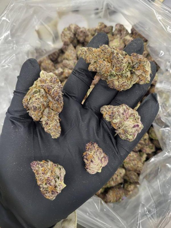 Blockberry Exotic Thca Flower