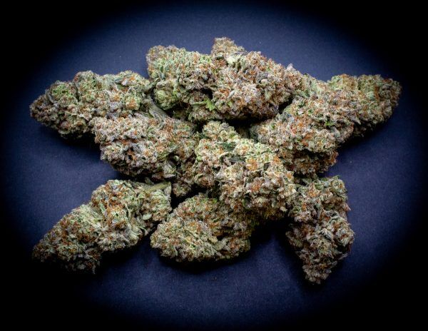 Bulk Magic Night Light Assist Thca Flower