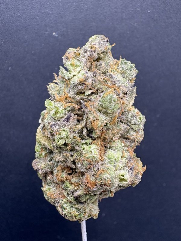 Gmo Indoor Thca Flower