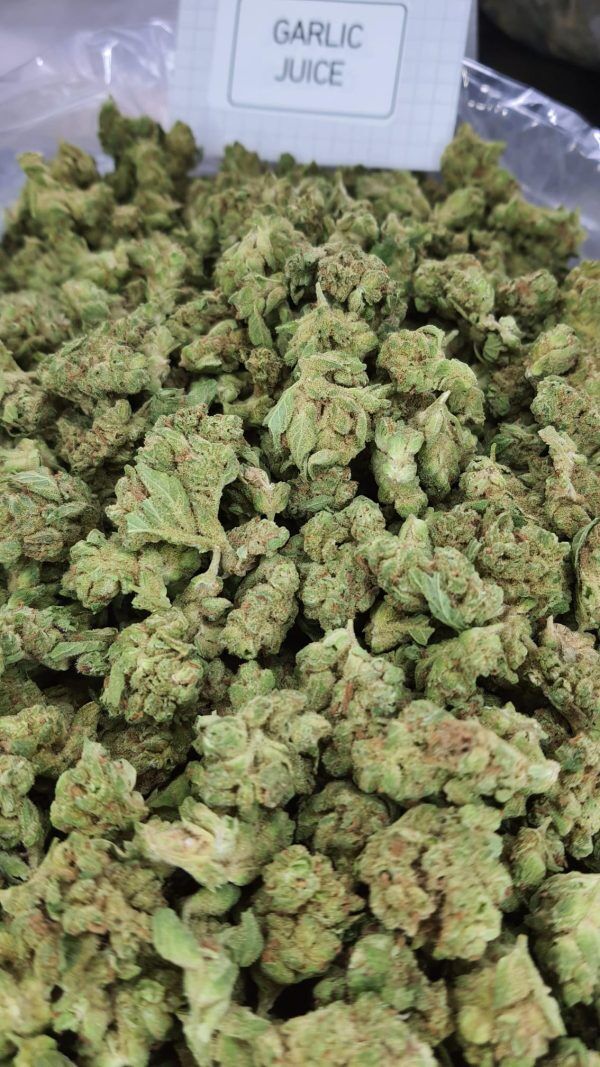 Garlic Juice Smalls Light Assist Thca Flower