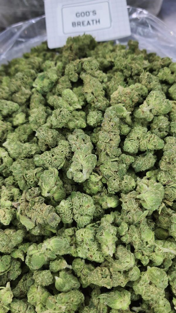 God'S Breath Smalls Light Assist Thca Flower