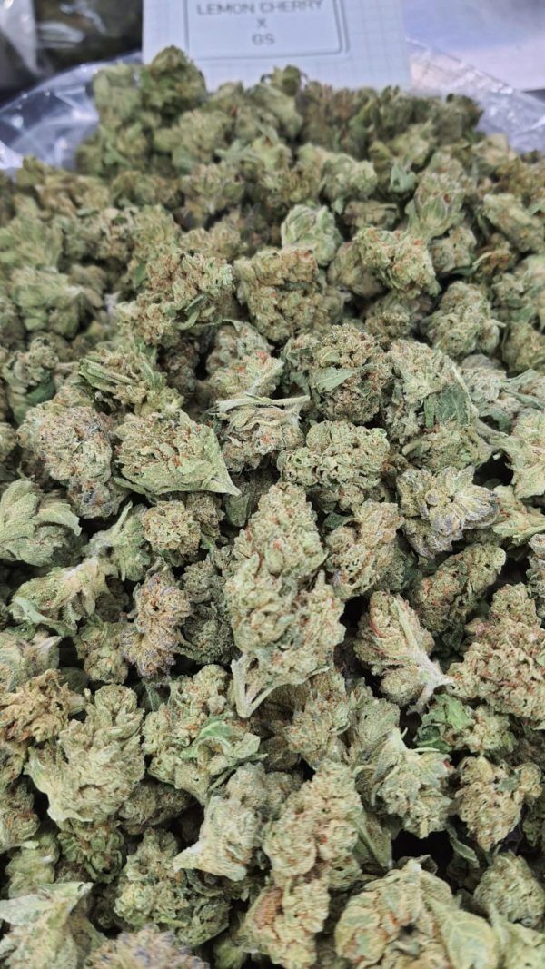 Lemon Cherry X Gsc Smalls Light Assist Thca Flower