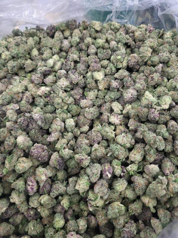 Oreo Smalls Zaza Thca Flower