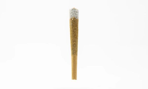 Coast Smokes Thca-Infused Diamond Tipped Pre Rolls
