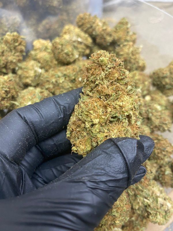 Bulk Sour Brulee Cbd Flower