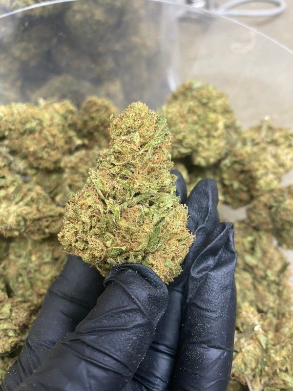 Bulk Sour Chem Cbd Flower