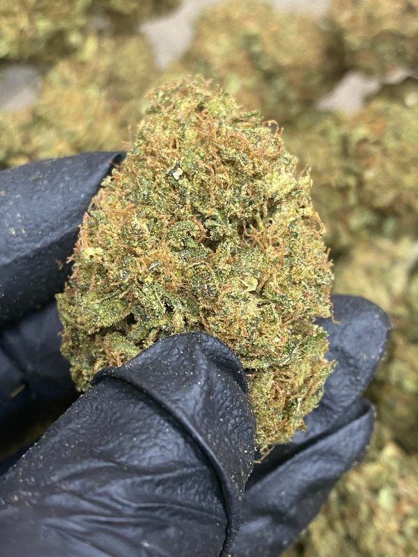 Bulk Sour Lifter Cbd Flower