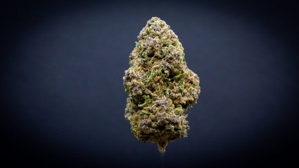 Banana Breath Light Assist Thca Flower
