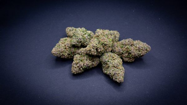Bulk Banana Breath Light Assist Thca Flower