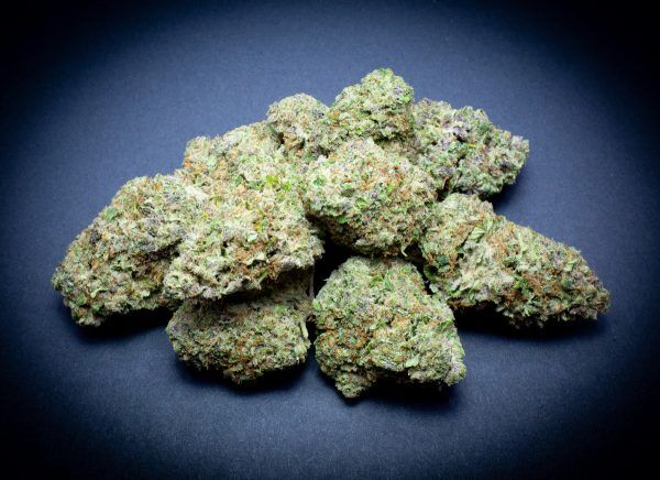Bulk Blueberry Muffin Light Assist Thca Flower