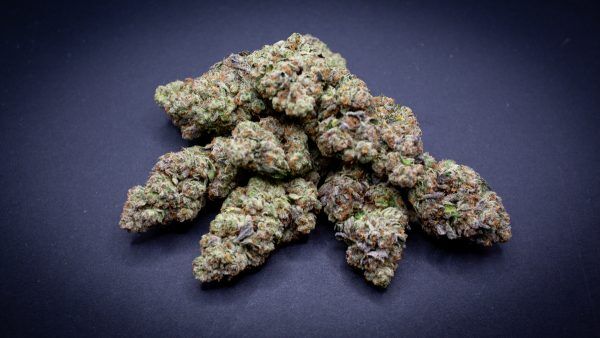 Bulk Candy Cane Light Assist Thca Flower