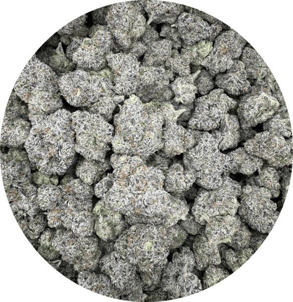 Bulk Cookie Runtz Exotic Thca Flower