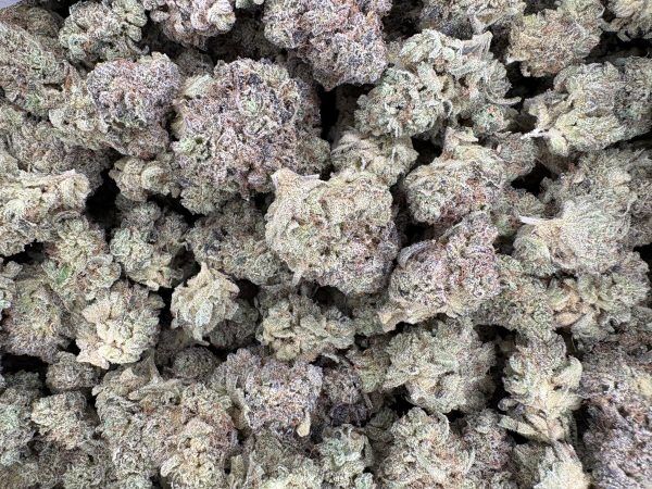 Bulk Dirty Bird Light Assist Thca Flower