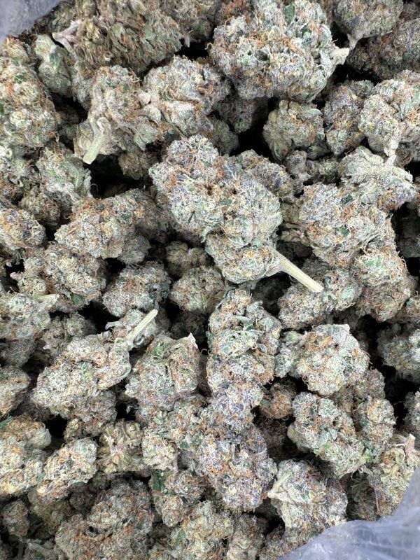 Bulk Don Mega Indoor Thca Flower