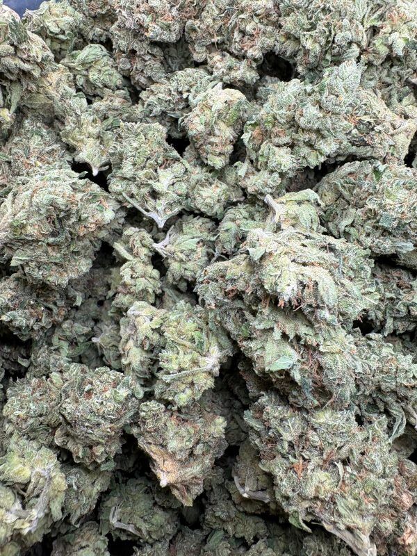 Bulk Durban Posion Indoor Thca Flower