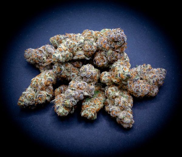 Bulk Glitter Bomb Indoor Thca Flower