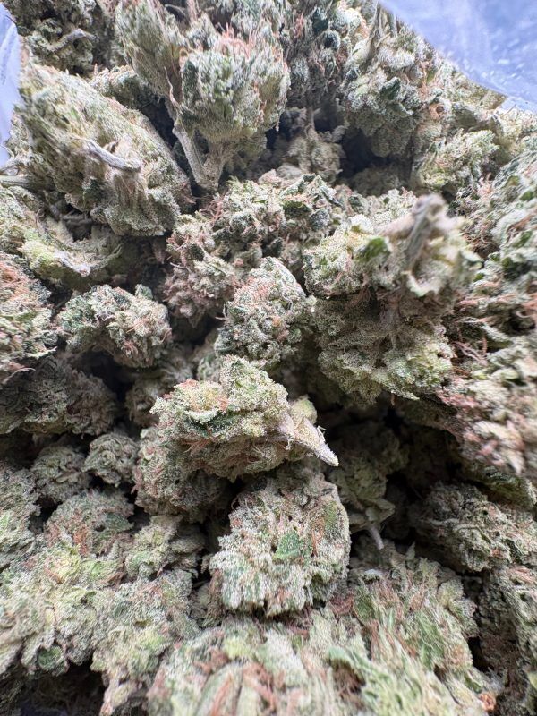 Bulk Lamb'S Bread Indoor Thca Flower