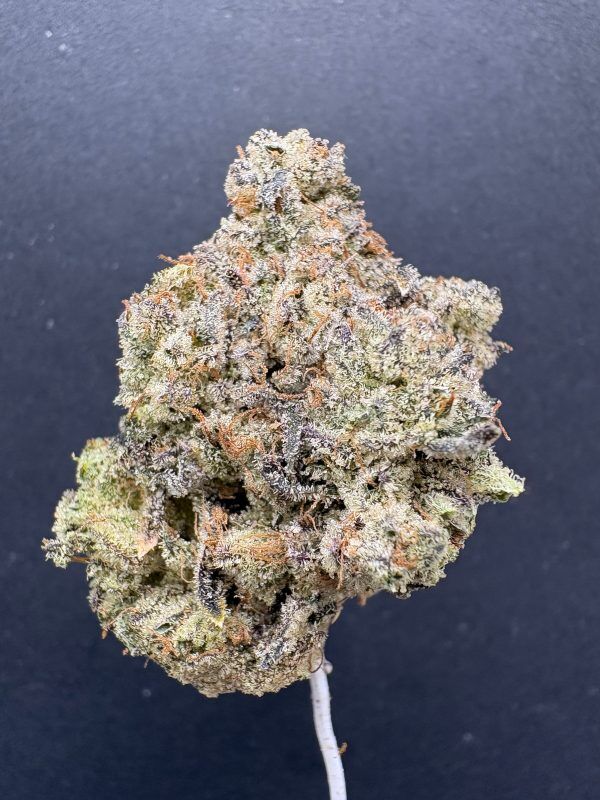 Dirty Bird Light Assist Thca Flower