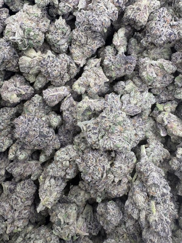 Gary Payton Light Assist Thca Flower