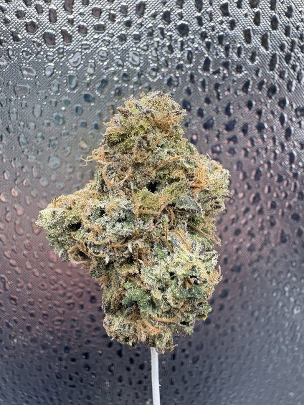 Gelato Zkittles Indoor Thca Flower