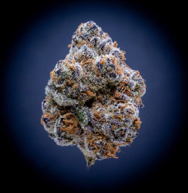 Glitter Bomb Indoor Thca Flower