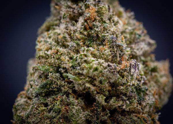 Wholesale Bc Roadkill Exotic Thca Flower