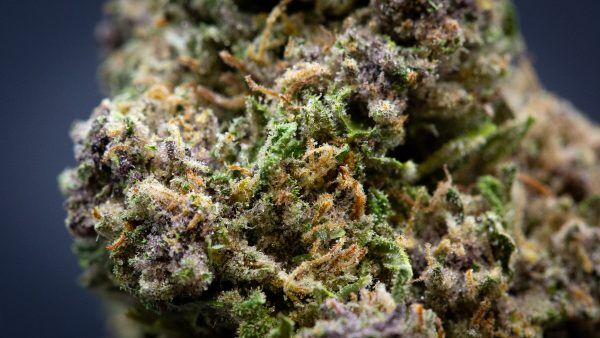 Wholesale Banana Breath Light Assist Thca Flower