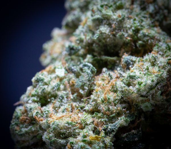 Wholesale Dosidos Light Assist Thca Flower