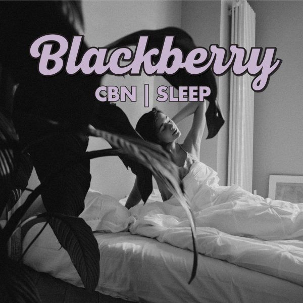 Smokiez Blackberry Cbd + Cbn Gummies
